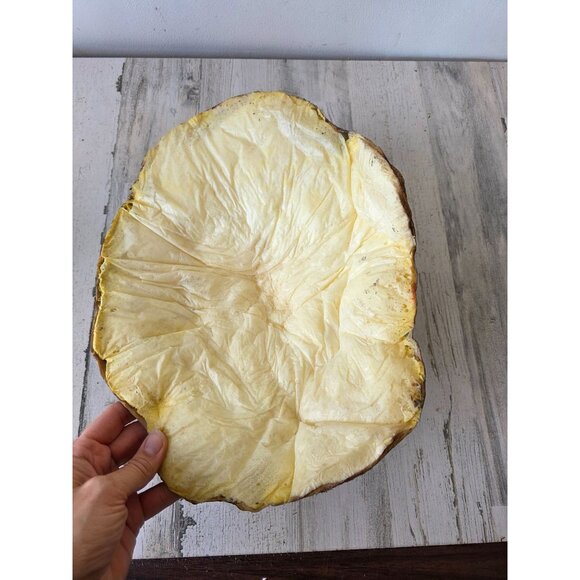 Vintage head rubber Halloween lifelike life-size realistic ground breaker scary - Picture 9 of 9